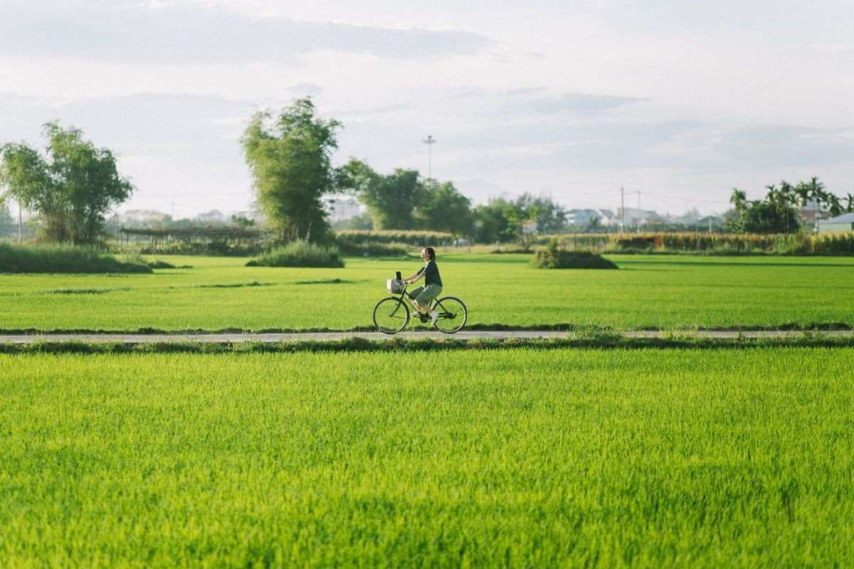 Is wellness travel in Vietnam affordable
