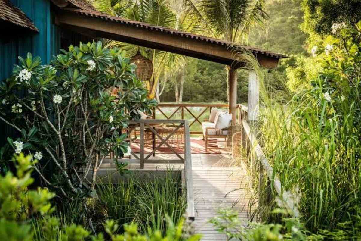 wellness travel and medical tourism