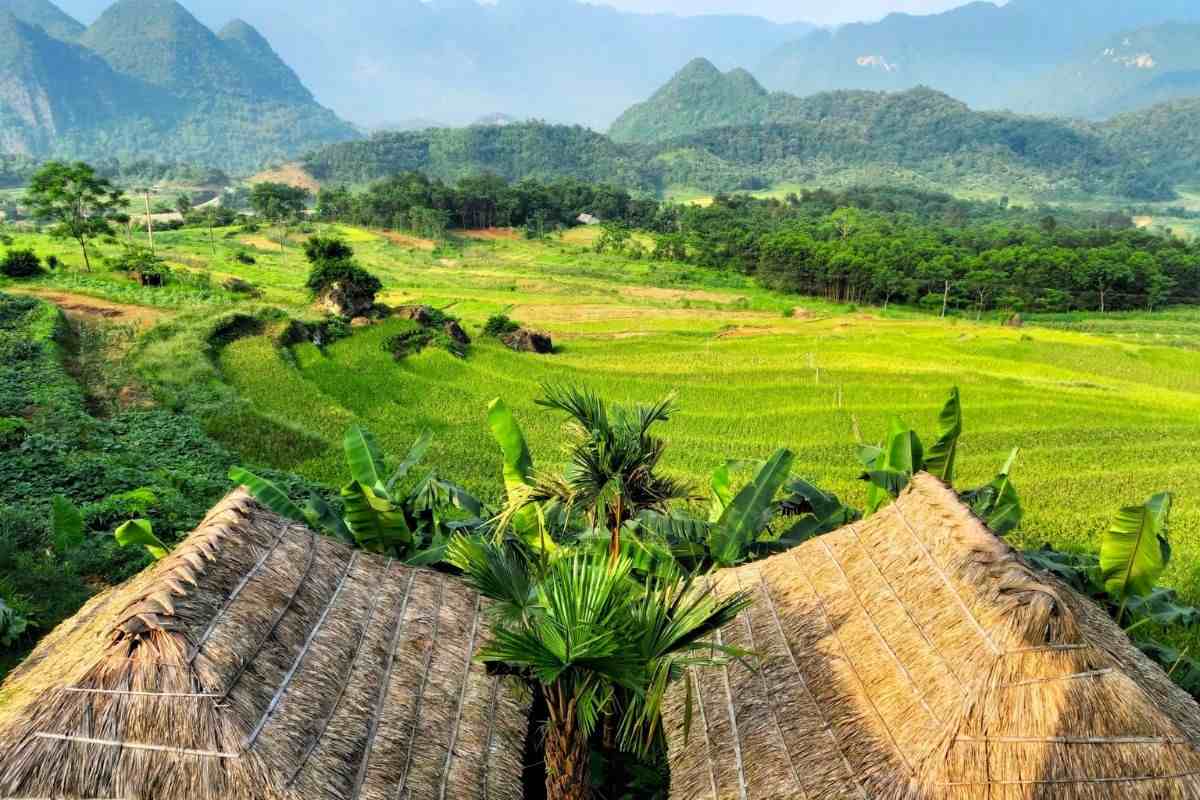 What is holistic wellness retreat