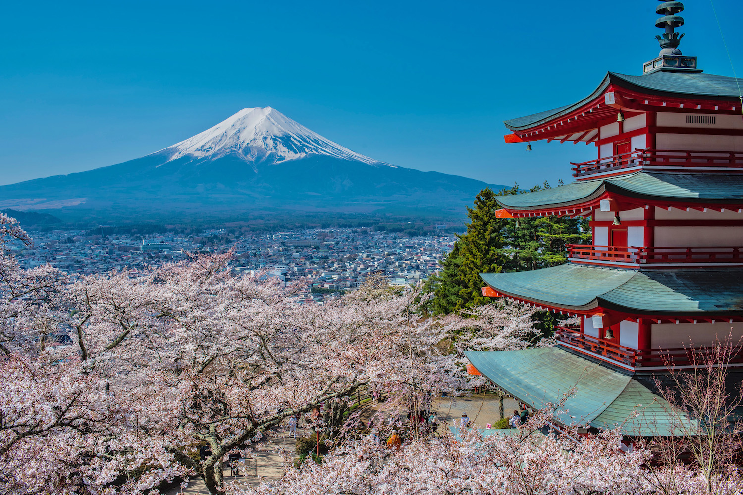 Japan Cultural & Scenic Journey
