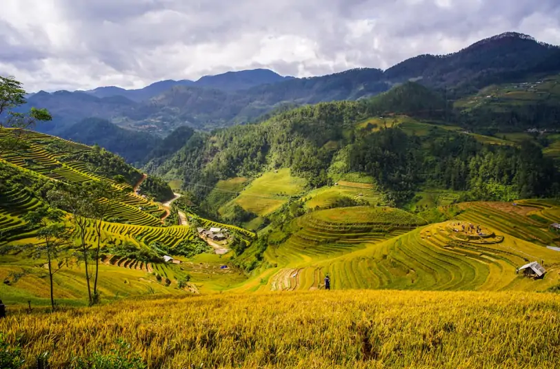Yoga & Retreat In Mai Chau 