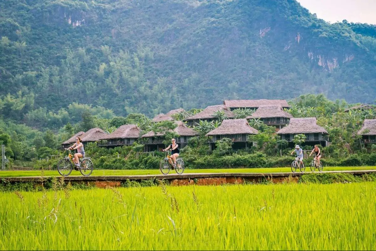 Yoga & Retreat In Mai Chau 